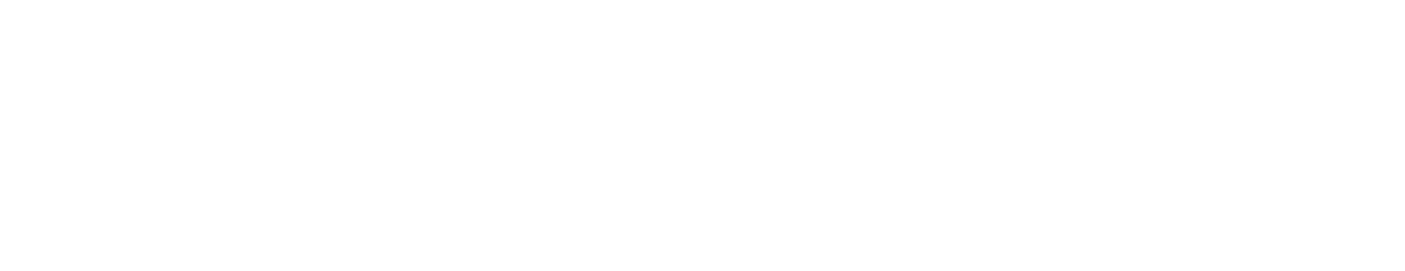 Hall of Detailing – Premium Car Care